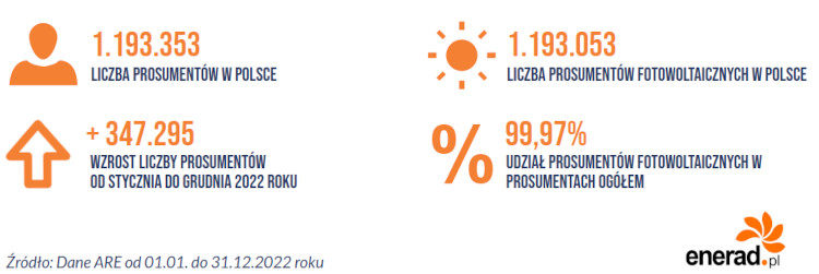 Prosumenci w Polsce w 2022 roku